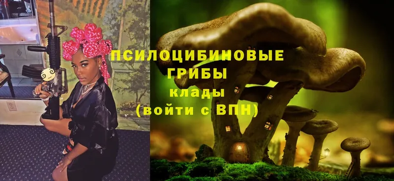 Псилоцибиновые грибы MAGIC MUSHROOMS  магазин продажи   Касимов 